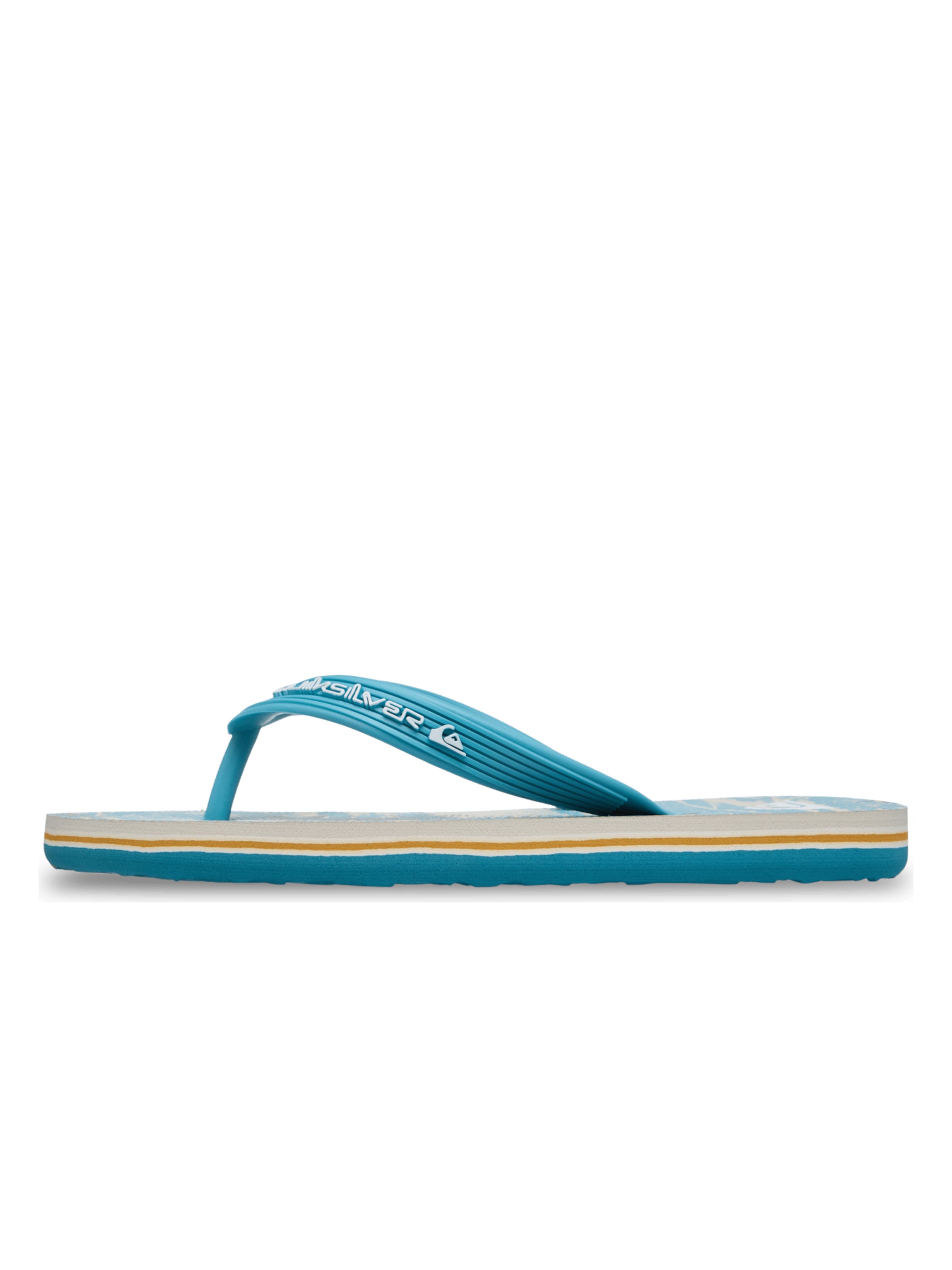 QUIKSILVER Sandals & Slippers 'Molokai Art' in Blue: front