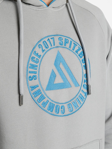 SPITZBUB Sweatshirt 'Tricircle' in Grijs