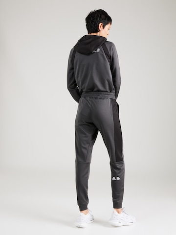 Tapered Pantaloni per outdoor di THE NORTH FACE in grigio