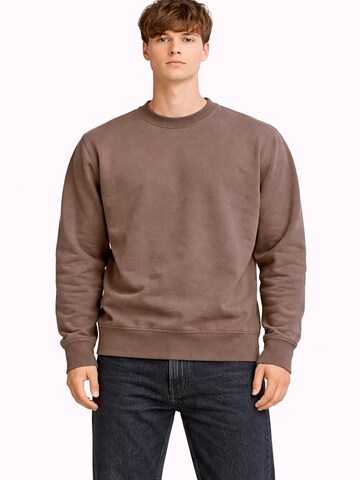 A Question Of (AQO) Sweatshirt 'Johannes' in Brown: front