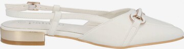 Palado Classic Flats 'Edef' in White