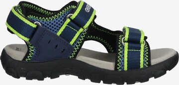 GEOX Open schoenen in Blauw