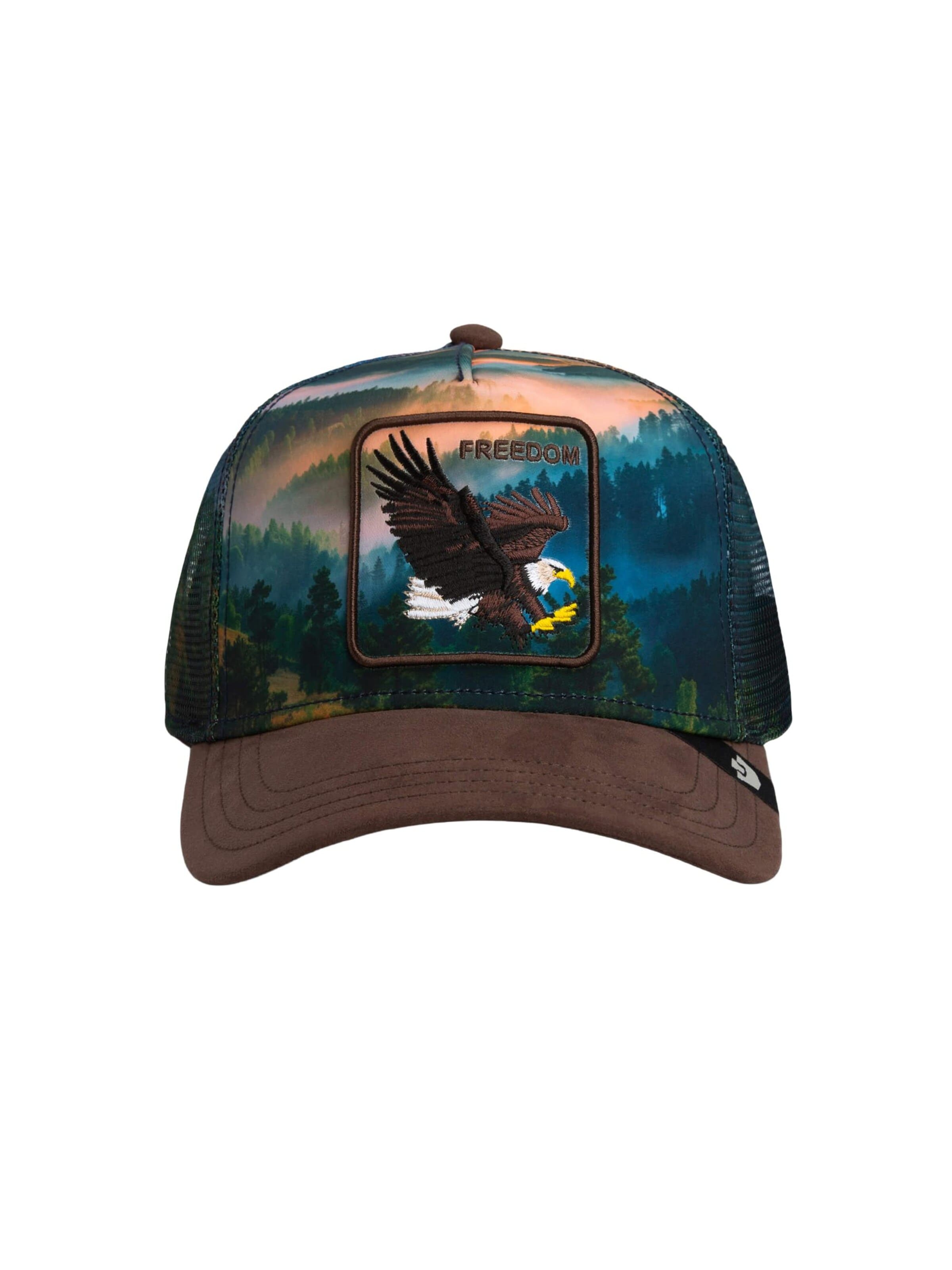GOORIN Bros. Cap 'Eagle In The Element' in Mixed colors: front