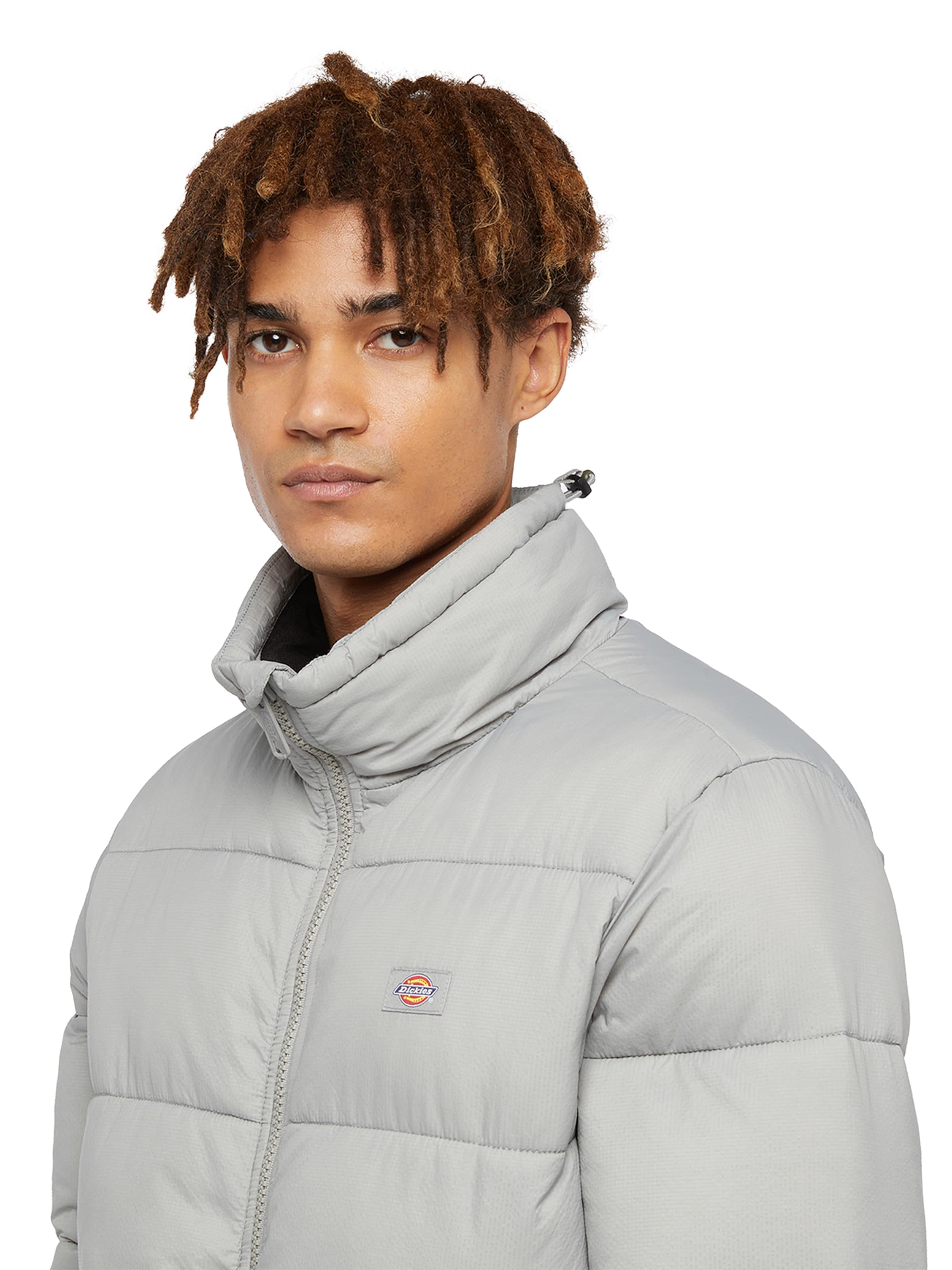 Giacca invernale 'Waldenburg' di DICKIES in grigio