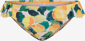 Pantaloncini per bikini di Shiwi in colori misti: frontale