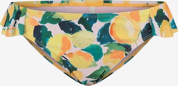 Pantaloncini per bikini di Shiwi in colori misti: frontale