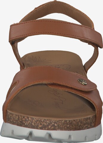 PANAMA JACK Sandals 'Sulia' in Brown