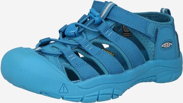 KEEN Sandalen in Blauw: voorkant