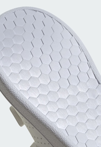 ADIDAS ORIGINALS Sneaker 'Advantage' in Weiß