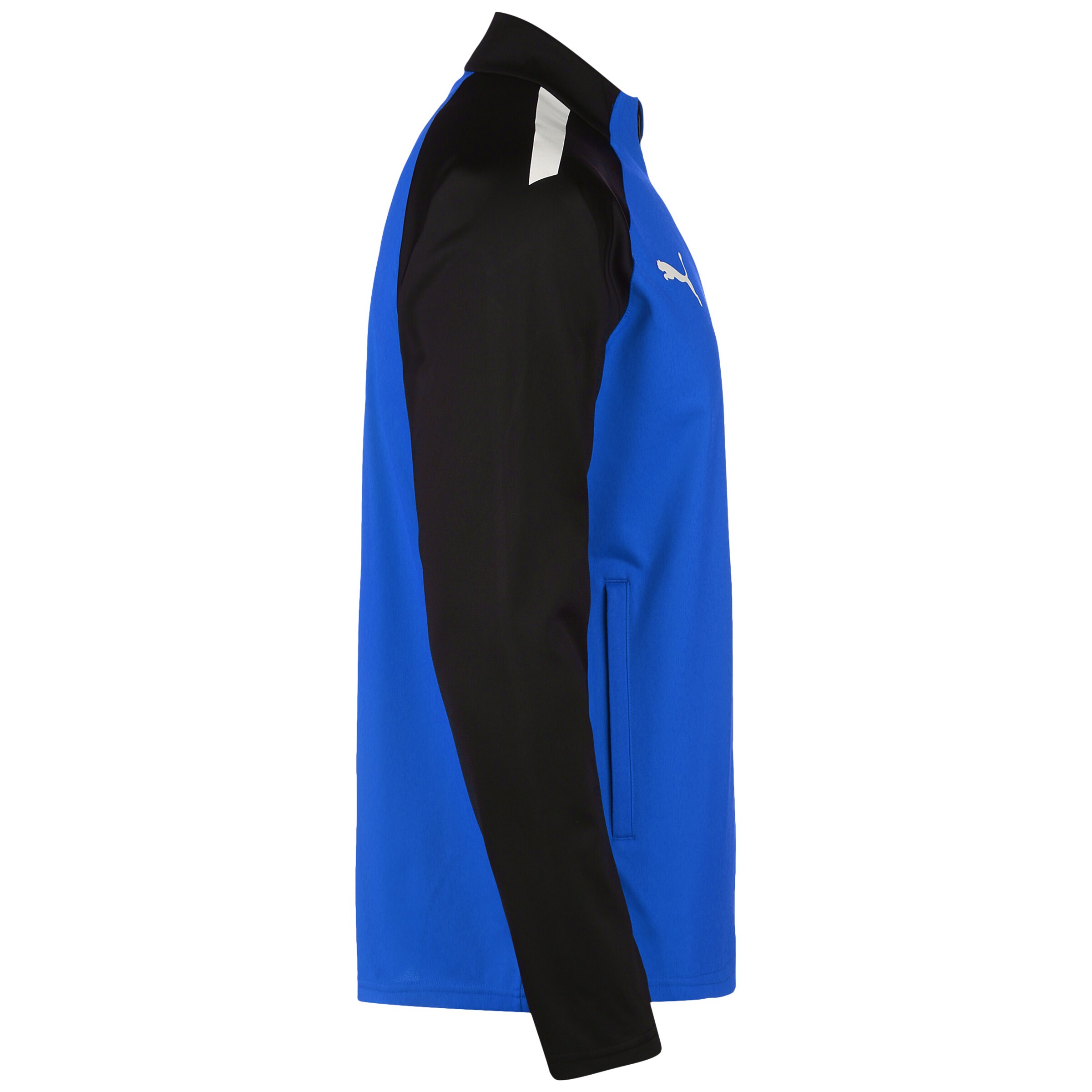 PUMA Sportjacke 'Team Liga' in Blau