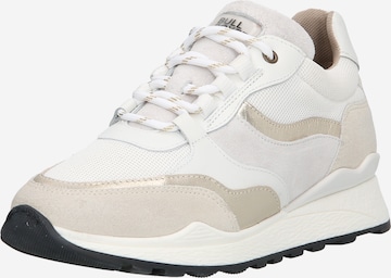 Baskets basses BULLBOXER en beige : devant