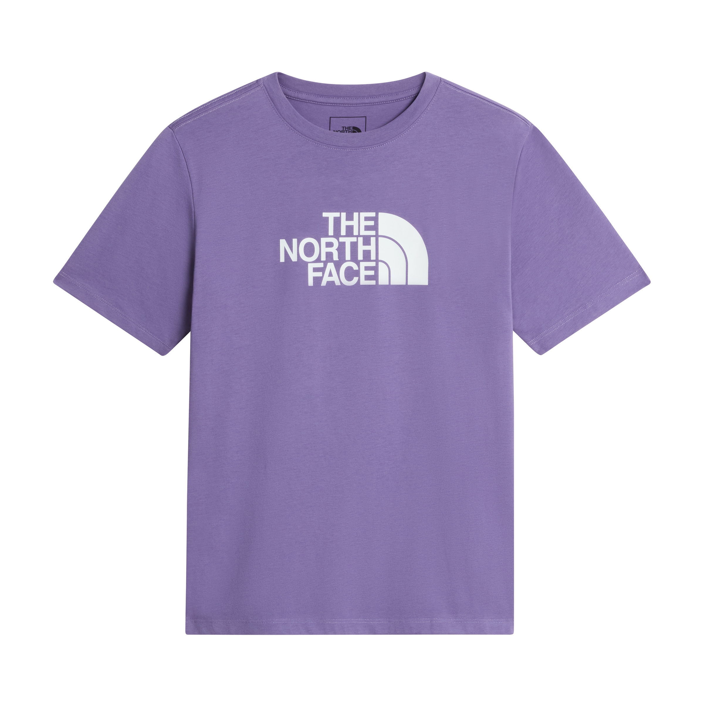 THE NORTH FACE Shirt 'Evolution Half Dome' in Purple: front