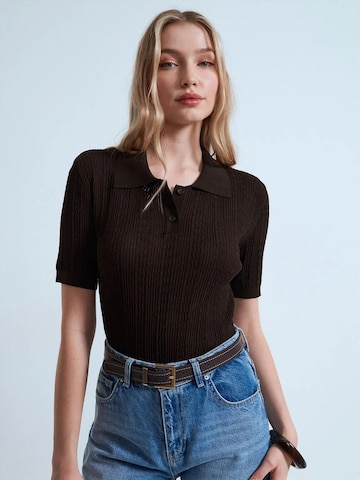 Dilvin Sweater in Brown: front