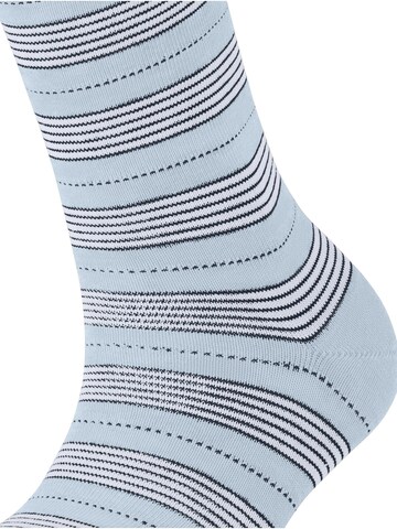 FALKE Socken 'Stripe Uniform'‌‌ in Blau