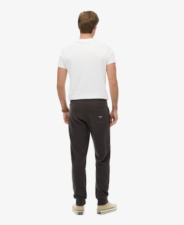 Effilé Pantalon 'Essential' Superdry en marron