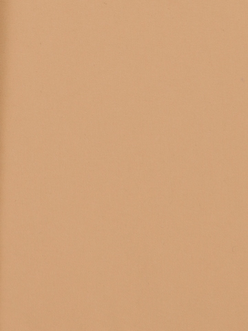 Giacca invernale 'VESLA' di JDY Petite in beige