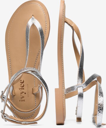 Ivylee Copenhagen Sandals 'Olive' in Silver