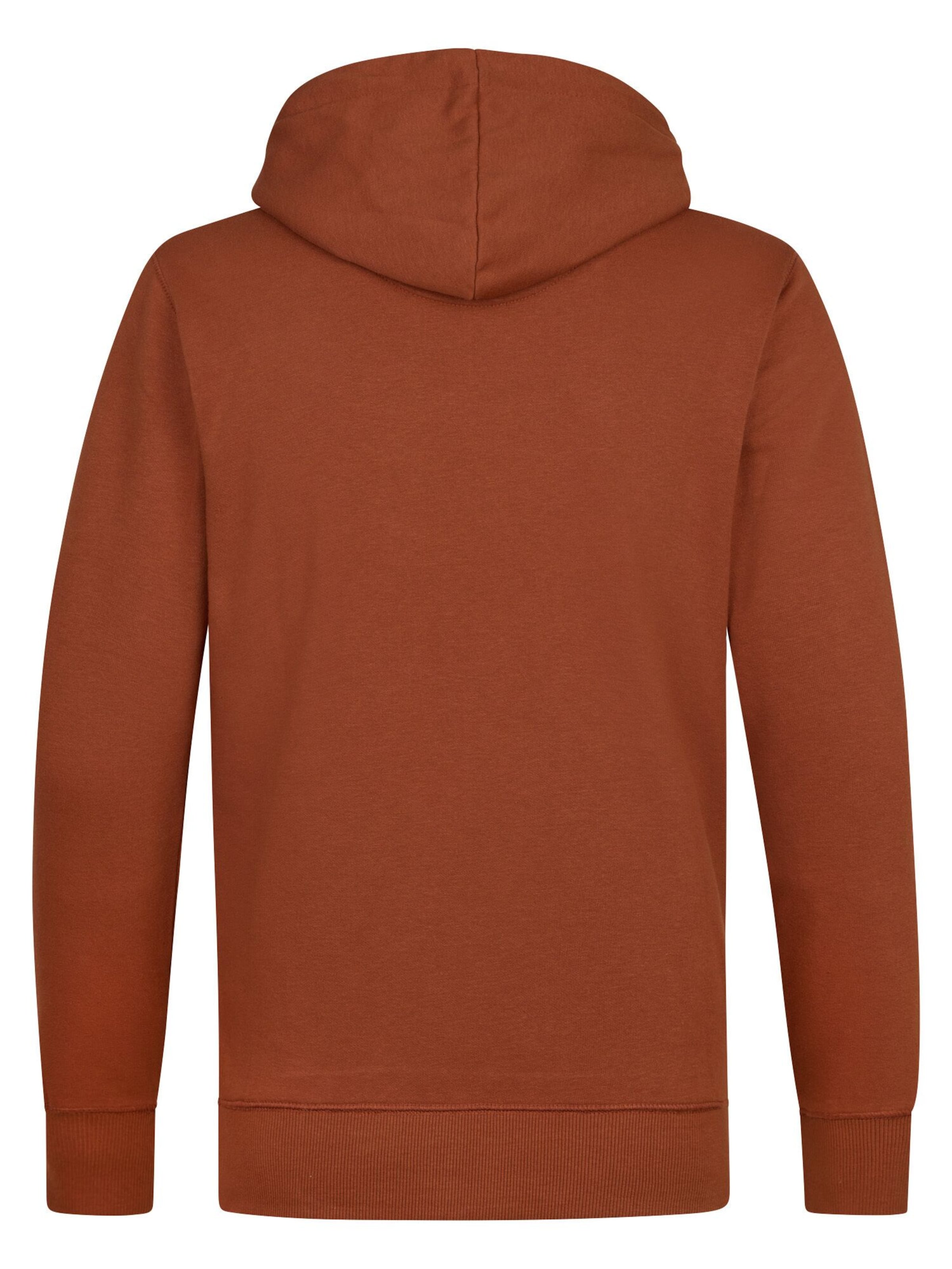Petrol Industries Sweatshirt in Braun