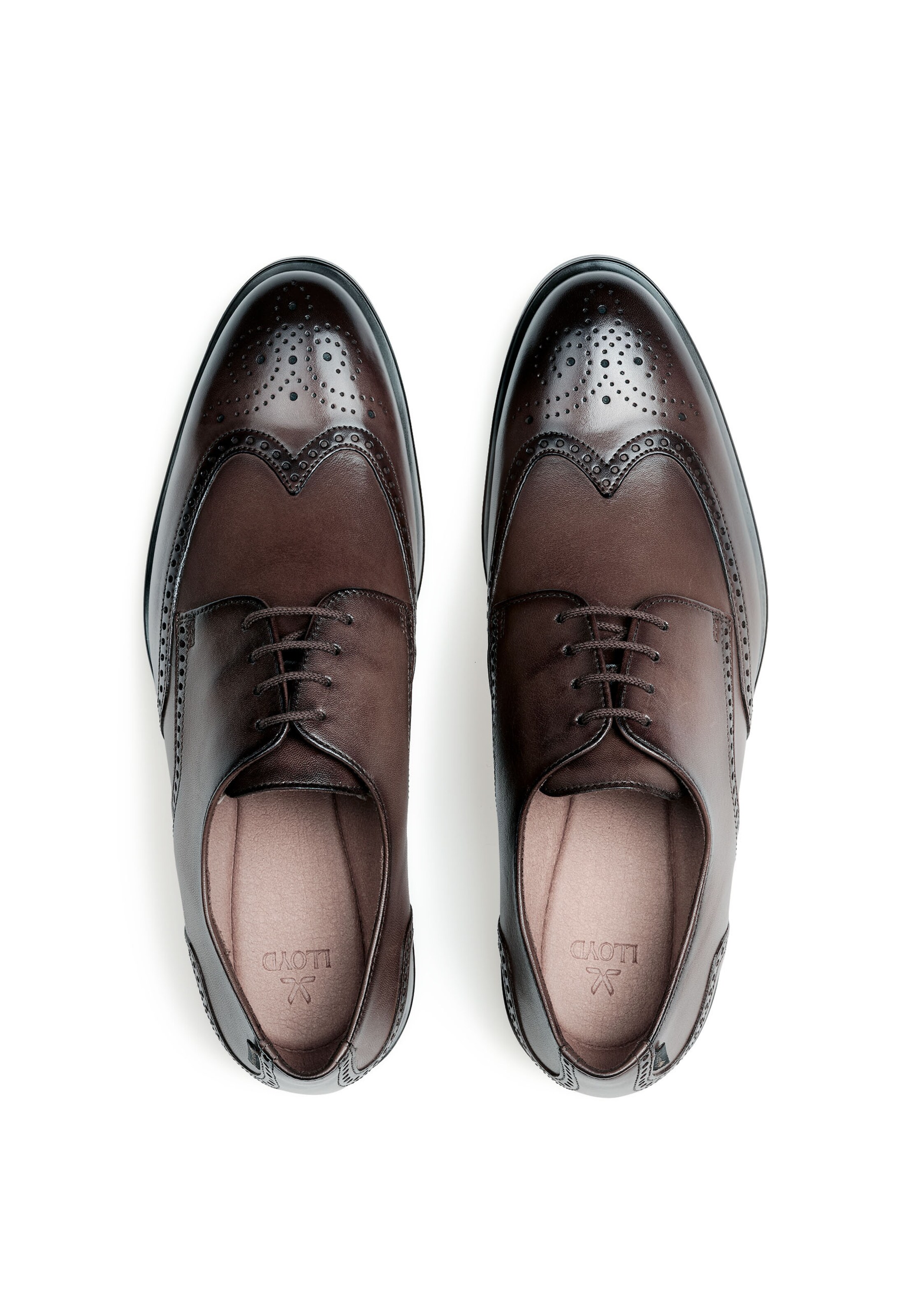 LLOYD Veterschoen in Bruin