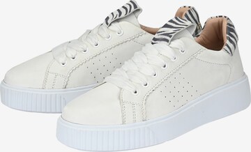 Crickit Sneaker 'Harper' in Weiß