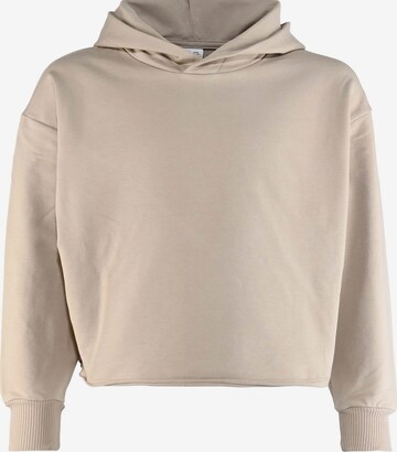 Sweat-shirt BLUE EFFECT en marron : devant