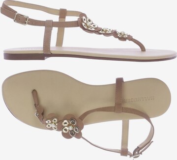 HALLHUBER Sandalen 39 in Beige: predná strana