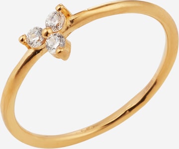 Singularu Ring in Gold: front