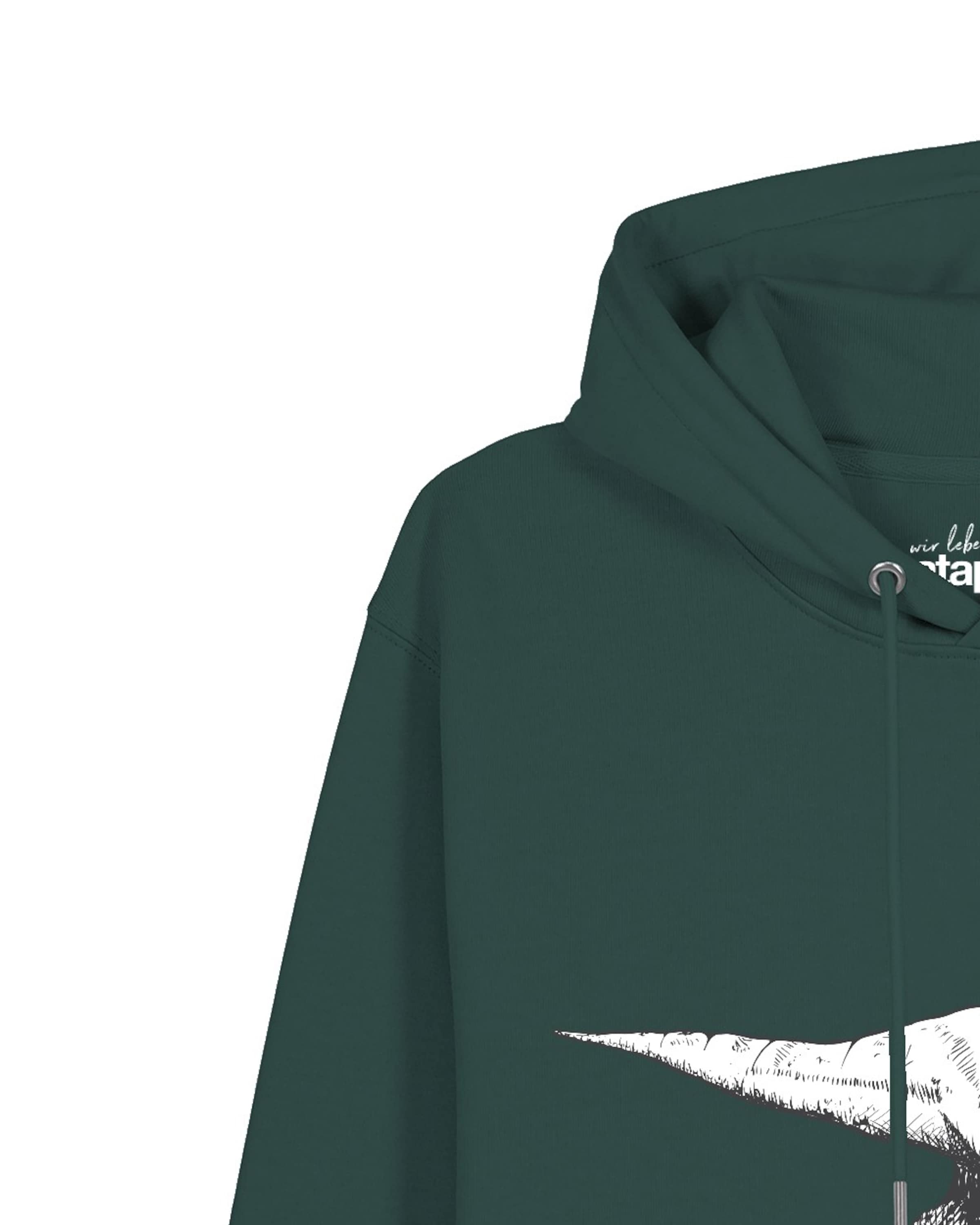 Sweat-shirt 'Astronaut on T-Rex' Watapparel en vert