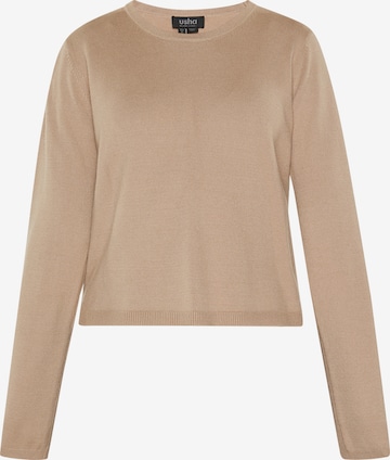 Pullover 'Classic' di usha BLACK LABEL in beige: frontale