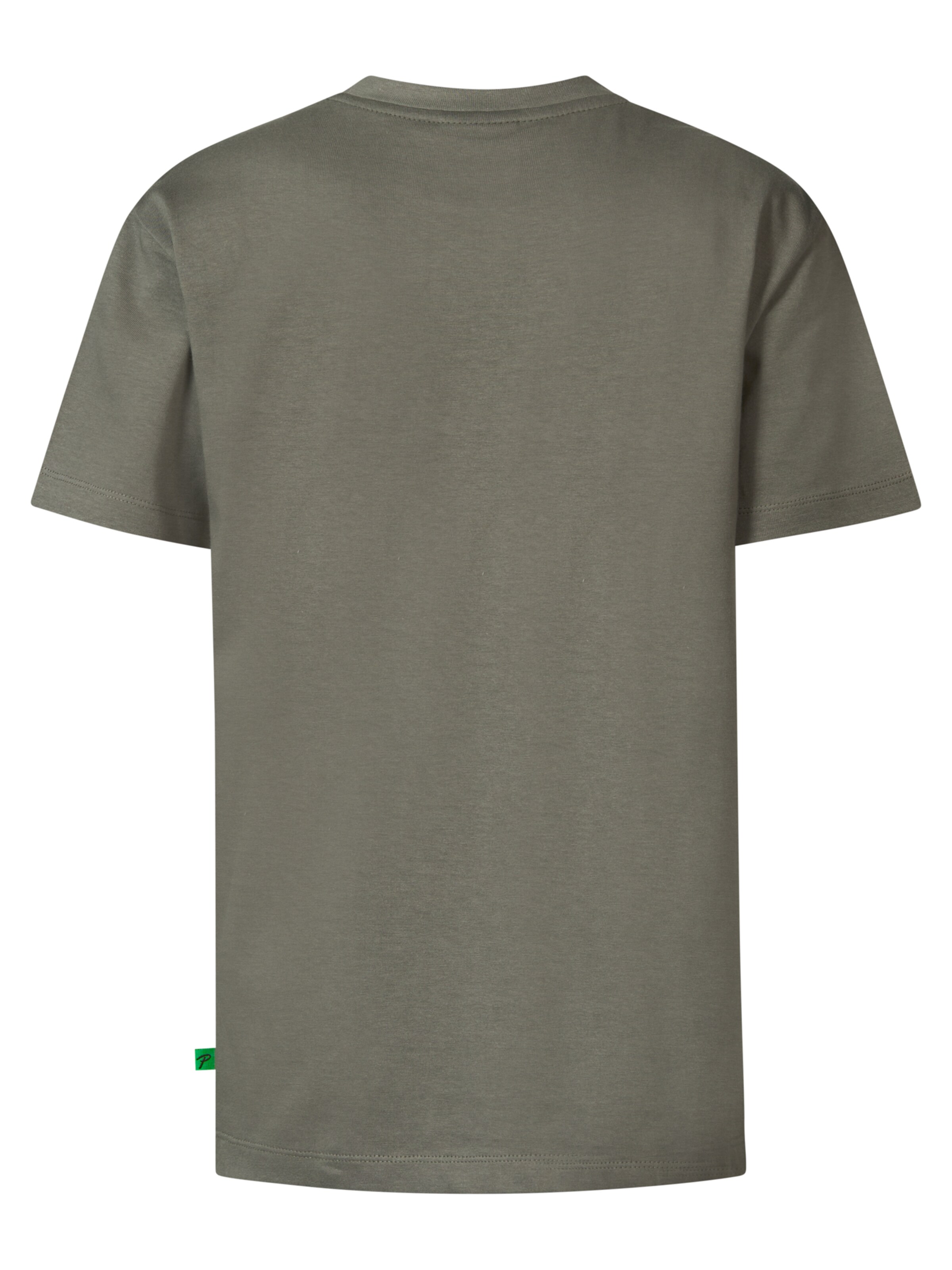 Petrol Industries Shirt 'Alexander' in Green