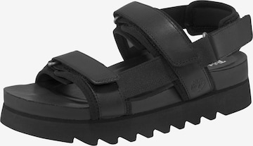 TIMBERLAND - Sandalias en negro: frente