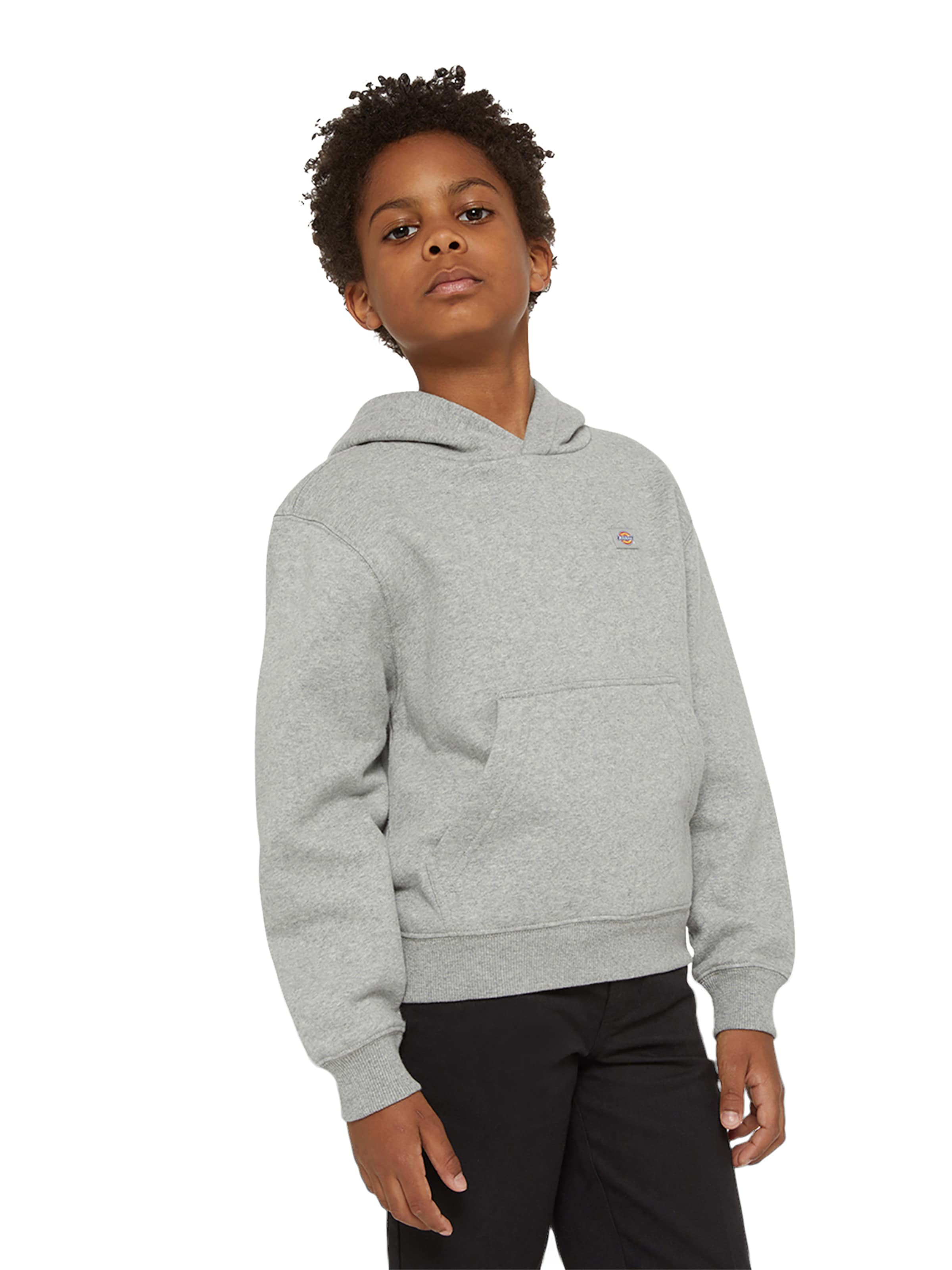 DICKIES - Sudadera 'Youth Oakport' en gris