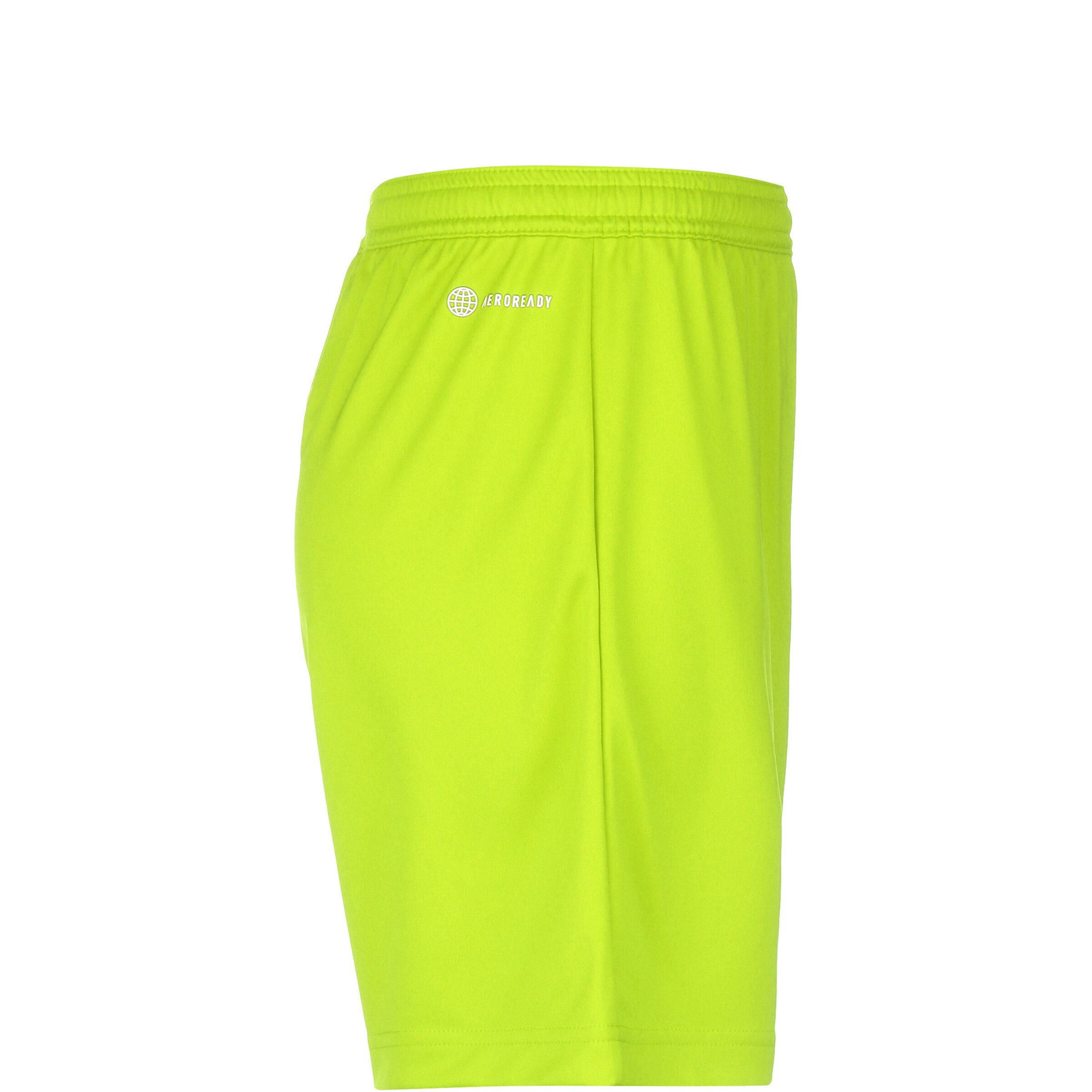 ADIDAS PERFORMANCE Regular Workout Pants 'Entrada 22' in Green