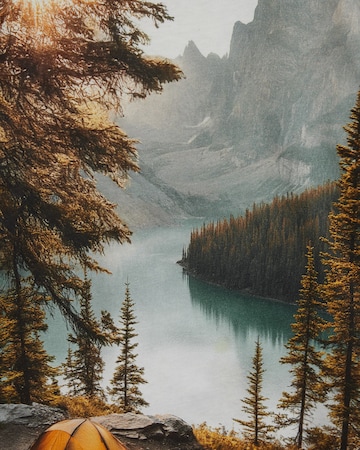 WE FashionMajica - miks boja boja