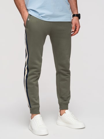 Ombre Regular Chino Pants in Green: front