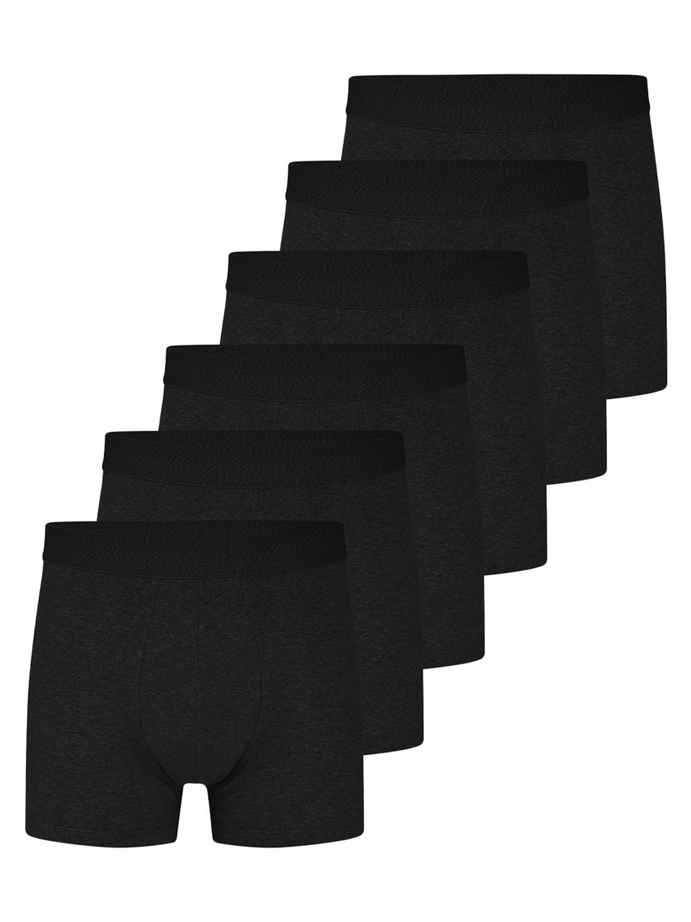 Almonu Boxer shorts 'Every Day Comfort' in Grey: front