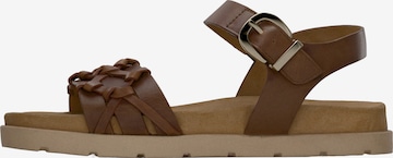 GABORSandale s remenčićima - bež boja: prednji dio