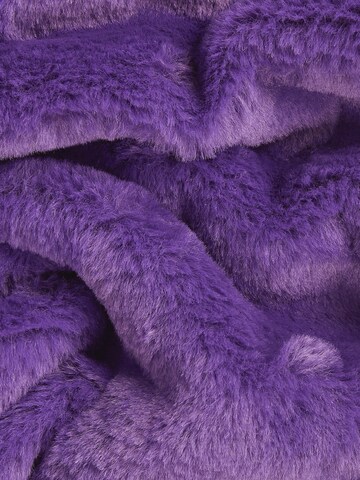 KARL LAGERFELD JEANS - Cachecóis em roxo