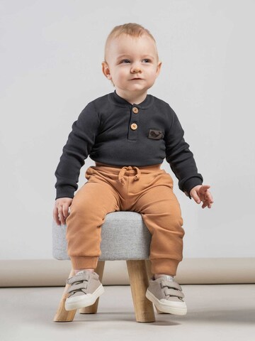 Bamar Nicol Regular Pants in Brown
