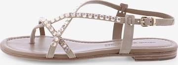 Kennel & Schmenger Strap Sandals 'ELLE' in Brown: front