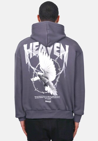 Dropsize Sweatshirt 'Wire Dove' in Grey: front