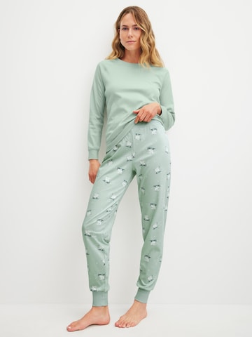 CALIDA Slaapshirt 'Favourites Cats' in Groen