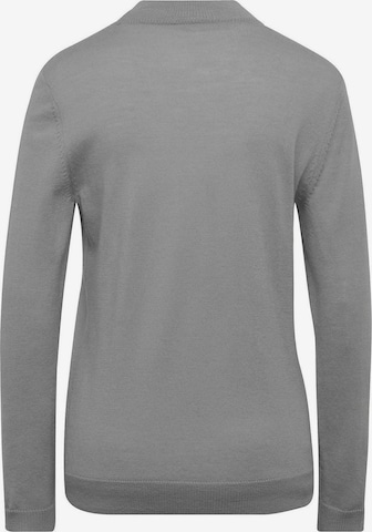 Pull-over Goldner en gris