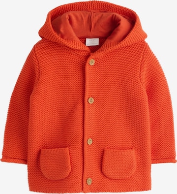 oranžinė Next Kardiganas: priekis