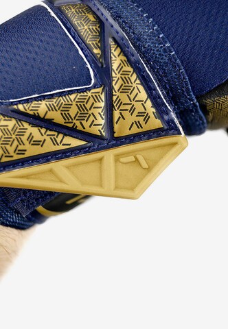 REUSCH Athletic Gloves 'Attrakt Gold X NC' in Blue