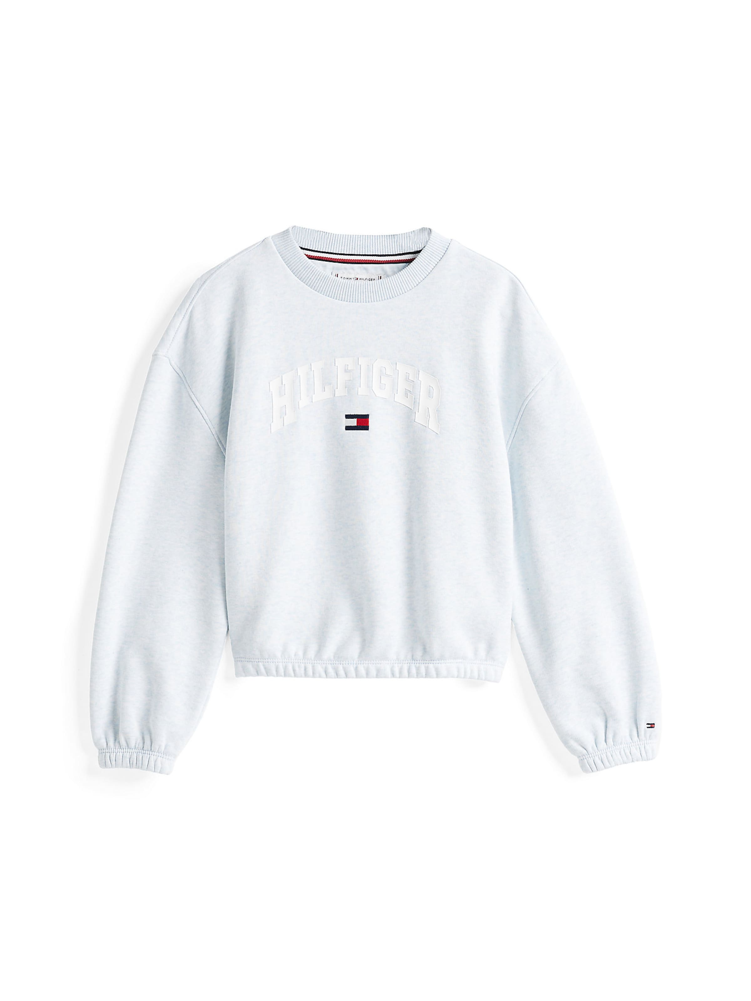 TOMMY HILFIGER Sweatshirt in Blue: front