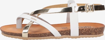 IGI&CO T-Bar Sandals in White: front