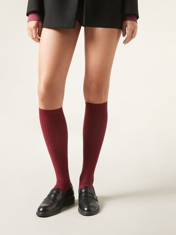 CALZEDONIA Socks in Red: front