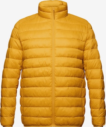 ESPRIT Between-Season Jacket in Yellow: front