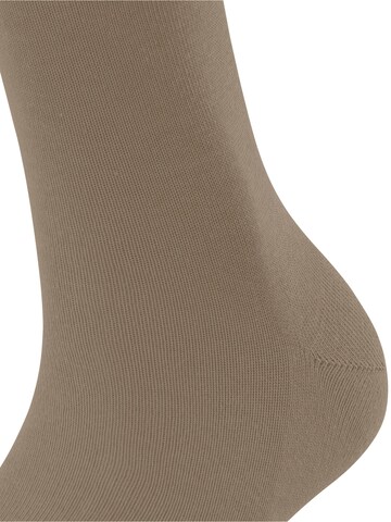 FALKE Socks in Beige